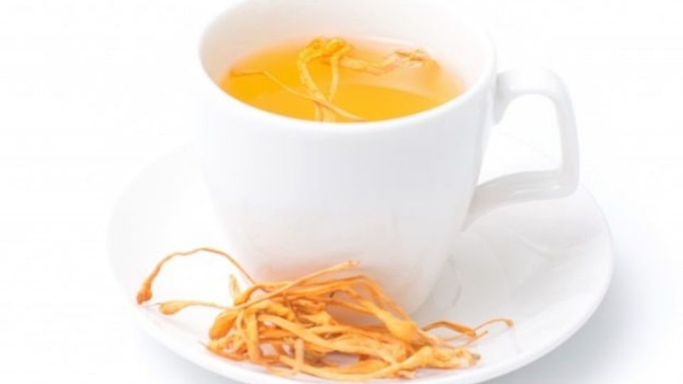 Đi tìm lời giải cho câu hỏi uống đông trùng hạ thảo có tác dụng gì?