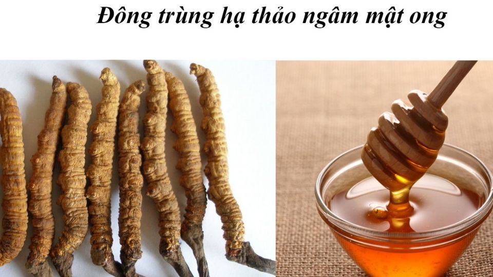 Cách sử dụng đông trùng hạ thảo khô