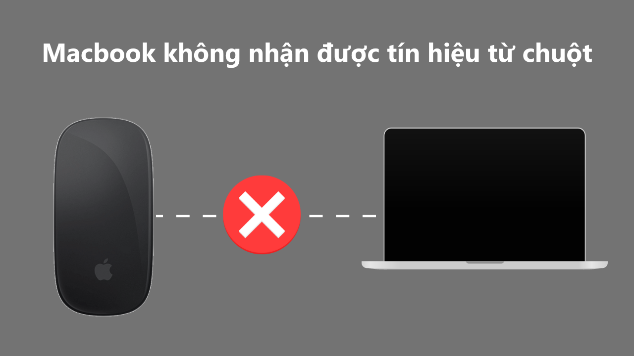 Lý do macbook không nhận chuột nhận biết và sửa chữa