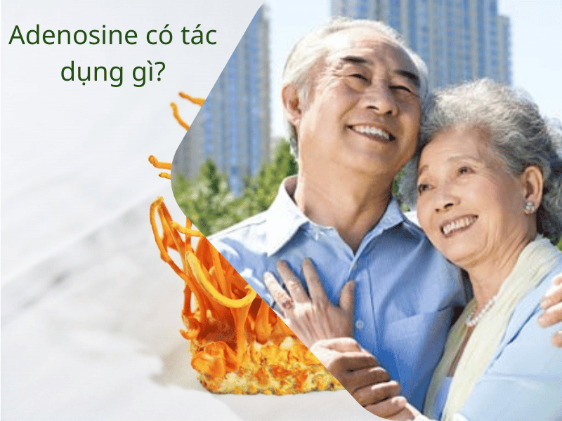 Adenosine có tác dụng gì