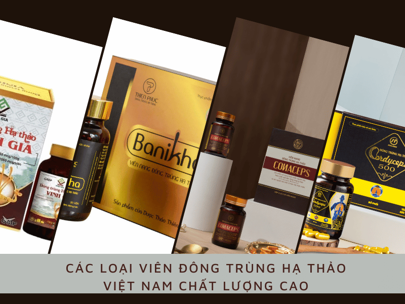 các loại viên đông trùng hạ thảo Việt Nam chất lượng