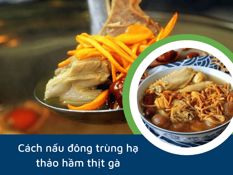 đông trùng hạ thảo hầm thịt gà