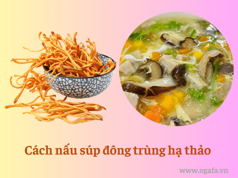 nấu súp đông trùng hạ thảo