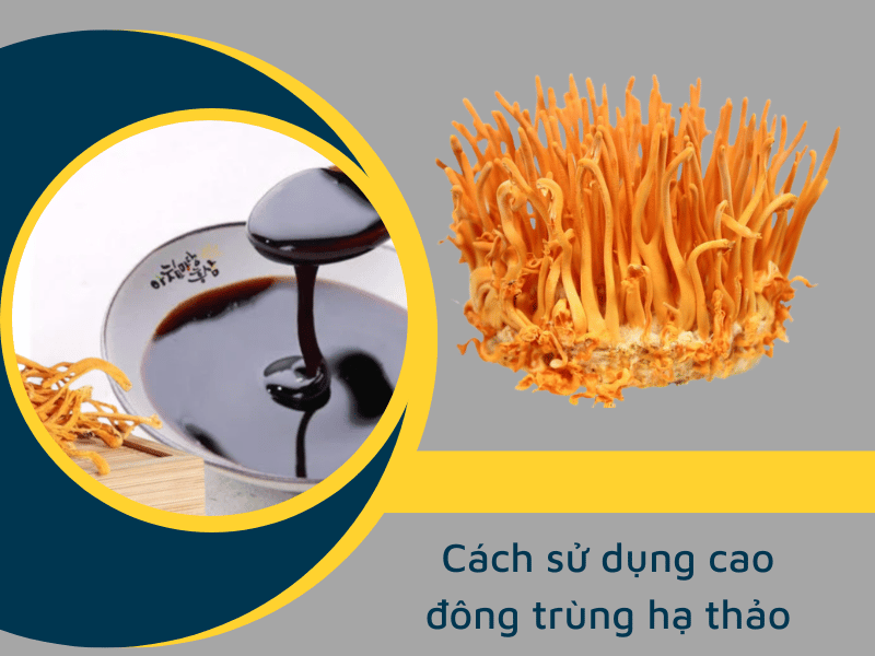 Cách sử dụng cao đông trùng hạ thảo