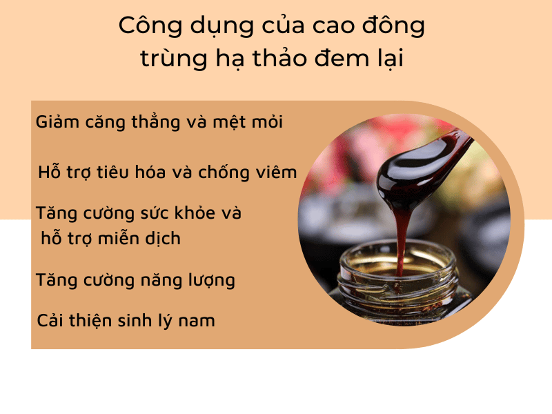 tác dụng của cao đông trùng hạ thảo