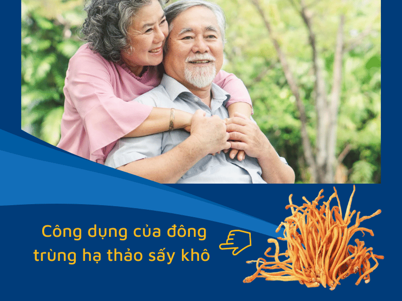 công dụng của đông trùng sấy khô