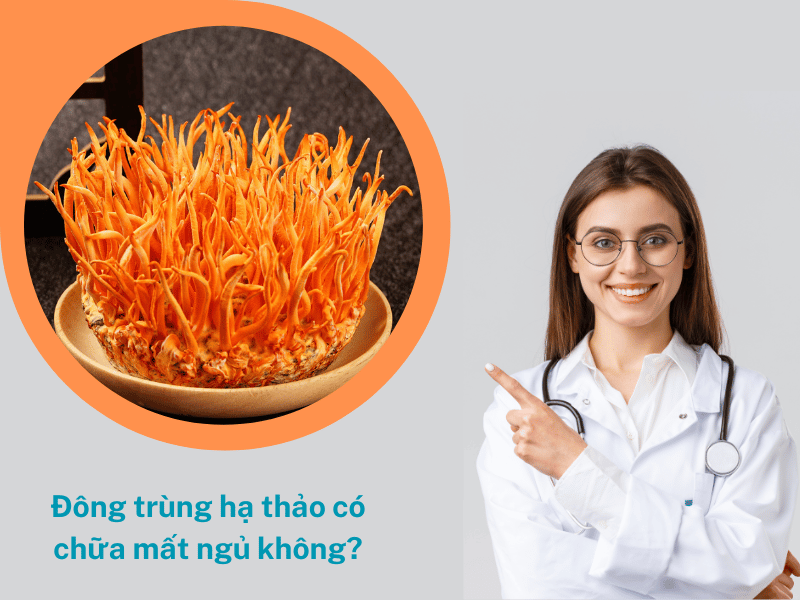 Uống đông trùng hạ thảo chữa mất ngủ hiệu quả