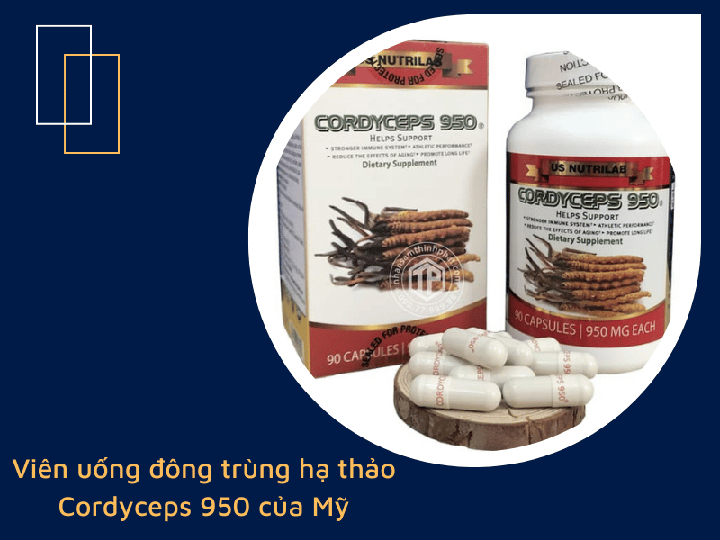 Viên đông trùng hạ thảo Cordyceps 950 của Mỹ