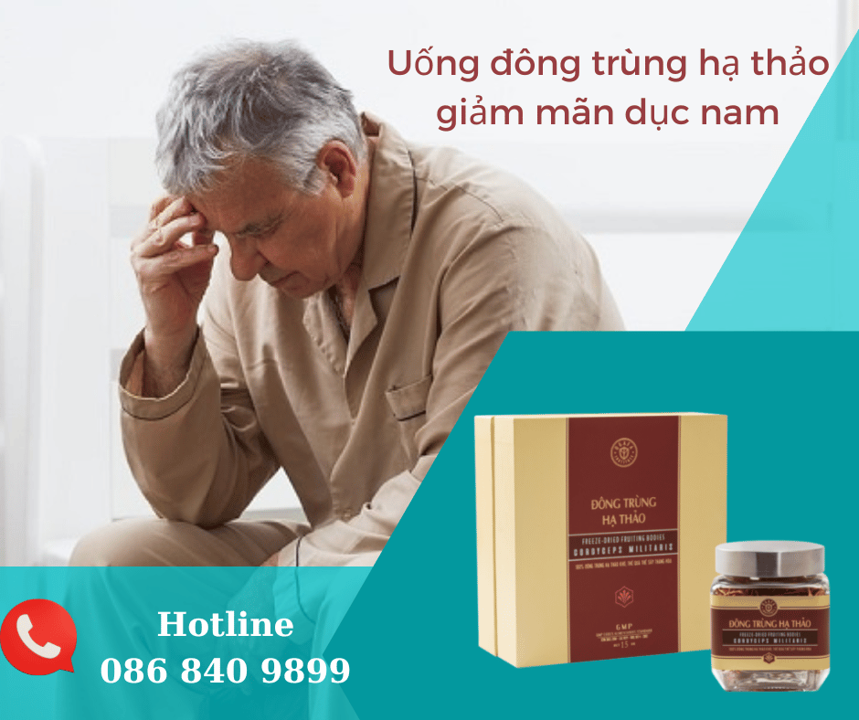 Uống đông trùng hạ thảo làm chậm quá trình mãn dục nam