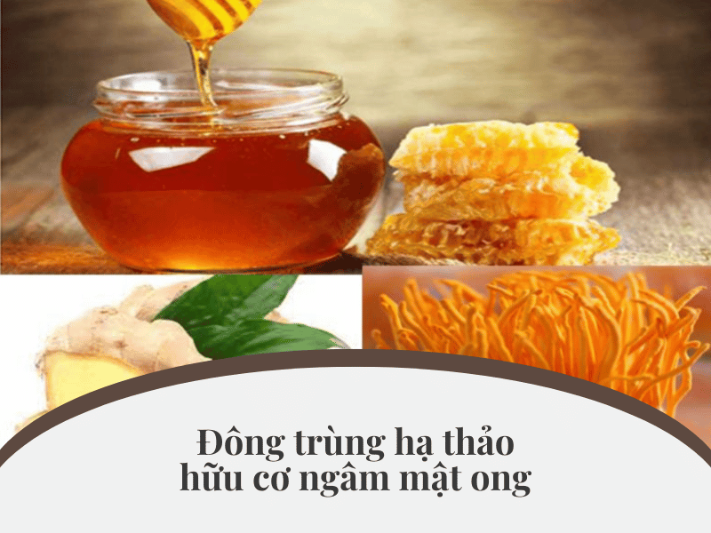 Đông trùng hạ thảo hữu cơ ngâm mật ong