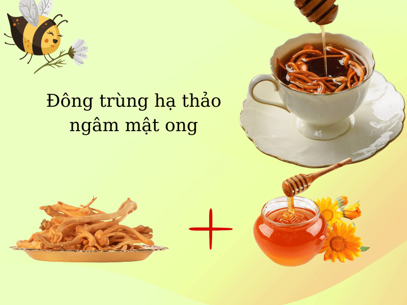 đông trùng hạ thảo khô ngâm mật ong