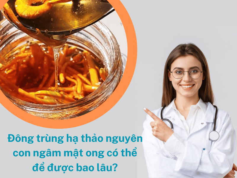 bảo quản đông trùng hạ thảo nguyên con với mật ong