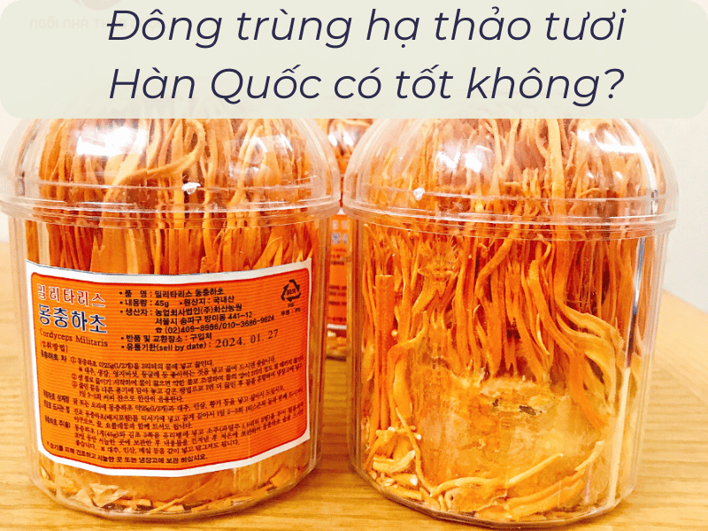 Đông trùng tươi Hàn Quốc có chứa nhiều dưỡng chất