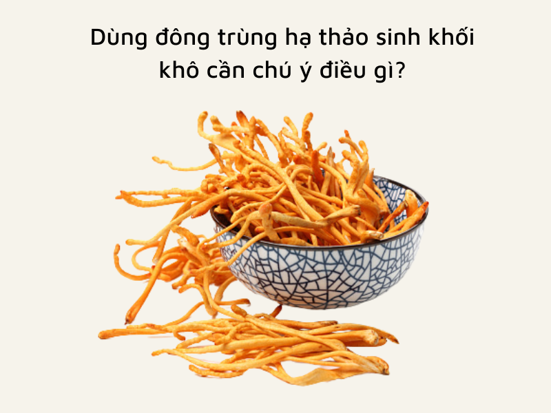 Lưu ý khi sử dụng đông trùng hạ thảo sinh khối khô