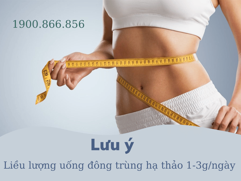 liều lượng uống đông trùng hạ thảo giảm cân