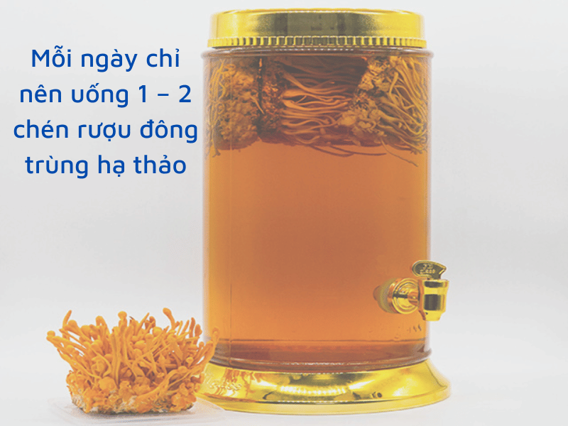 liều lượng uống rượu đông trùng