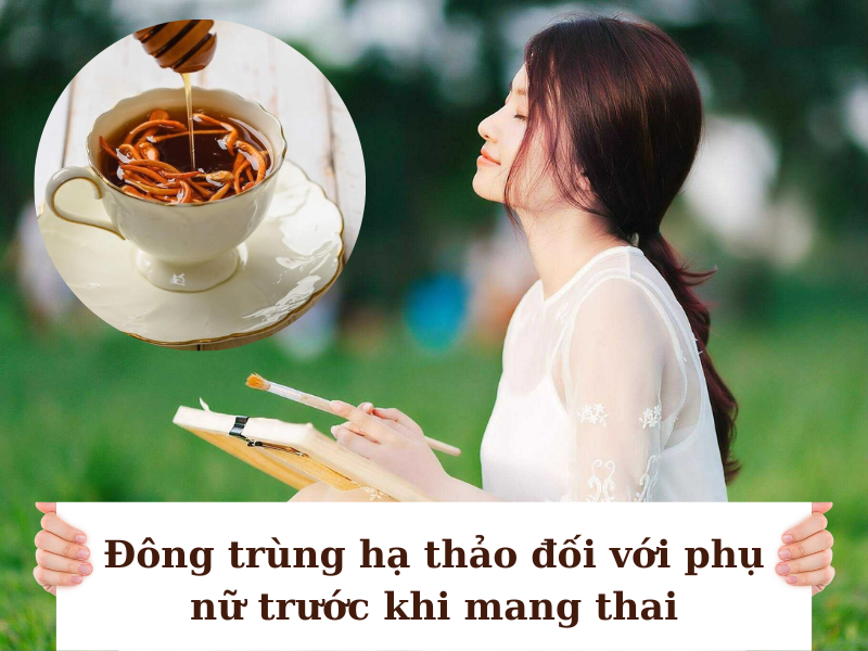 Giai đoạn trước khi mang thai nên uống đông trùng hạ thảo