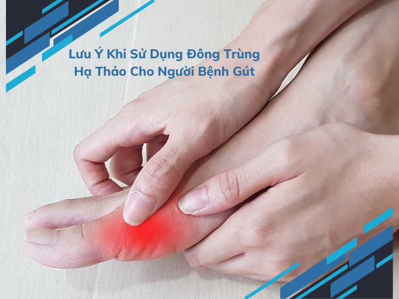 Người bệnh gút không nên uống quá liều lượng trùng thảo hướng dẫn