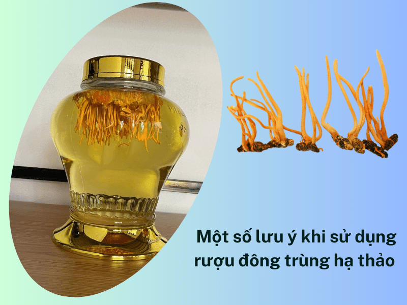 không lạm dụng uống quá nhiều rượu đông trùng hạ thảo