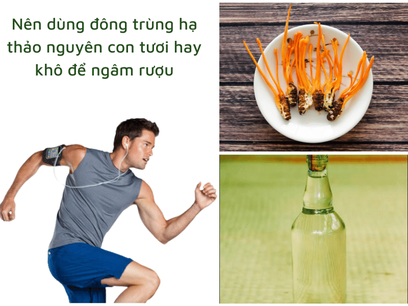 ngâm rượu đông trùng hạ thảo nguyên con khô hoặc tươi đều tốt