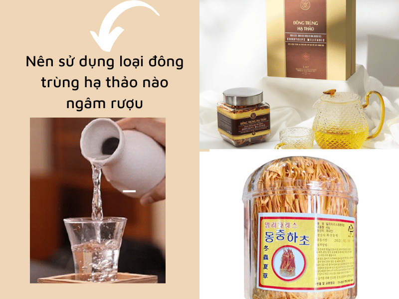 sử dụng loại đông trùng hạ thảo nào ngâm rượu