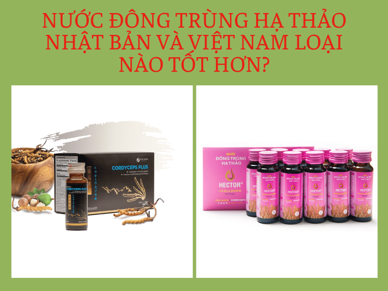 nước đông trùng Nhật Bản và Việt Nam