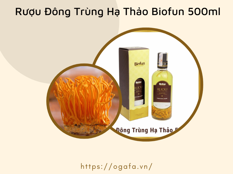 Rượu đông trùng hạ thảo Biofun - 500ml