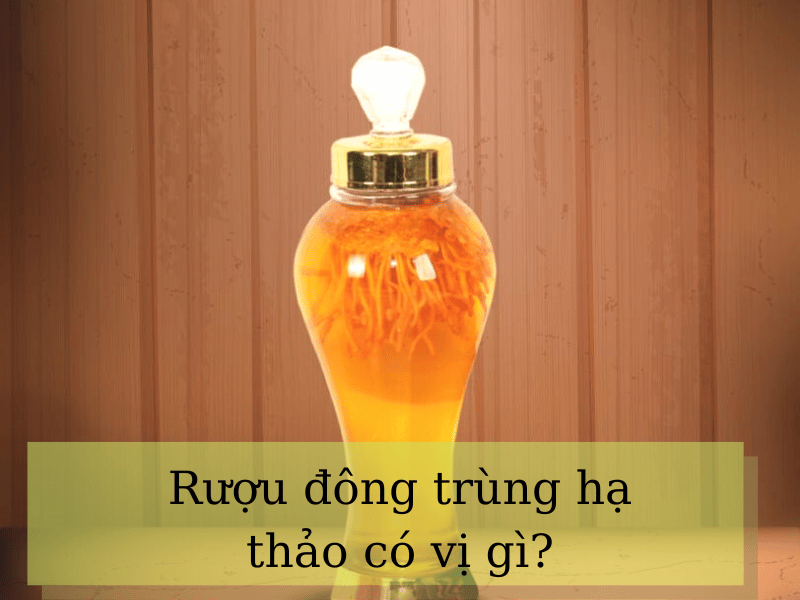 Vị rượu đông trùng hạ thảo