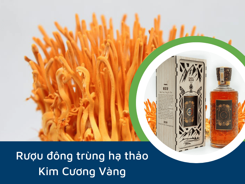 Rượu đông trùng hạ thảo - Kim Cương Vàng