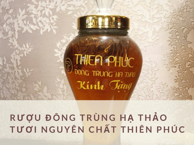 Rượu đông trùng hạ thảo tươi nguyên chất Thiên Phúc