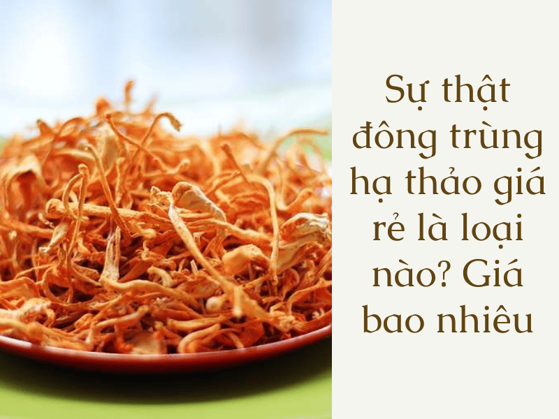 đông trùng hạ thảo giá rẻ