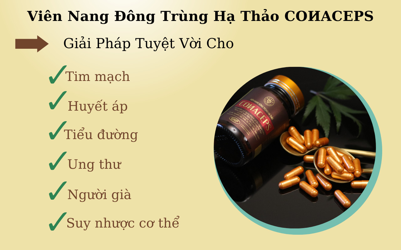 tác dụng của viên đông trùng hạ thảo