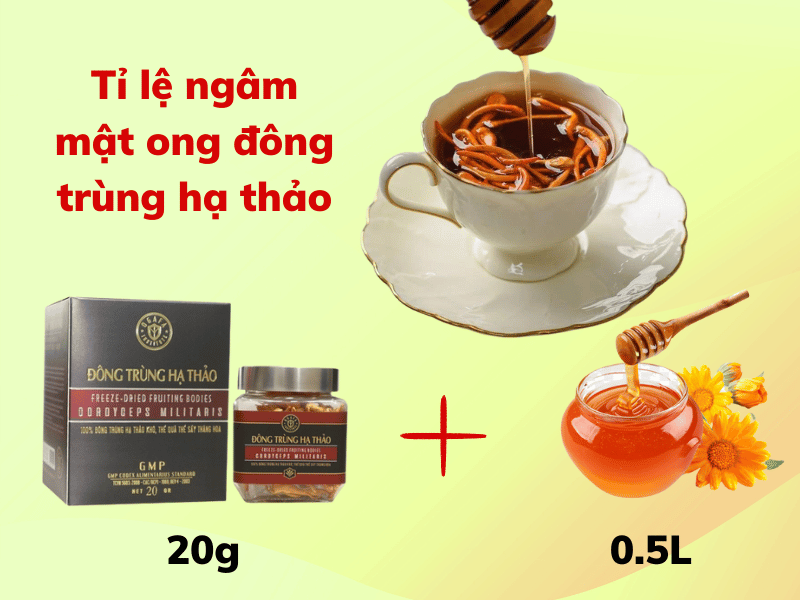 tỉ lệ ngâm mật ong đông trùng hạ thảo