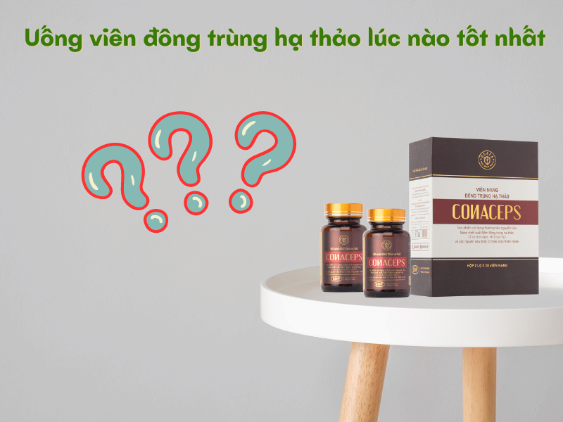 Thời điểm uống viên đông trùng hạ thảo