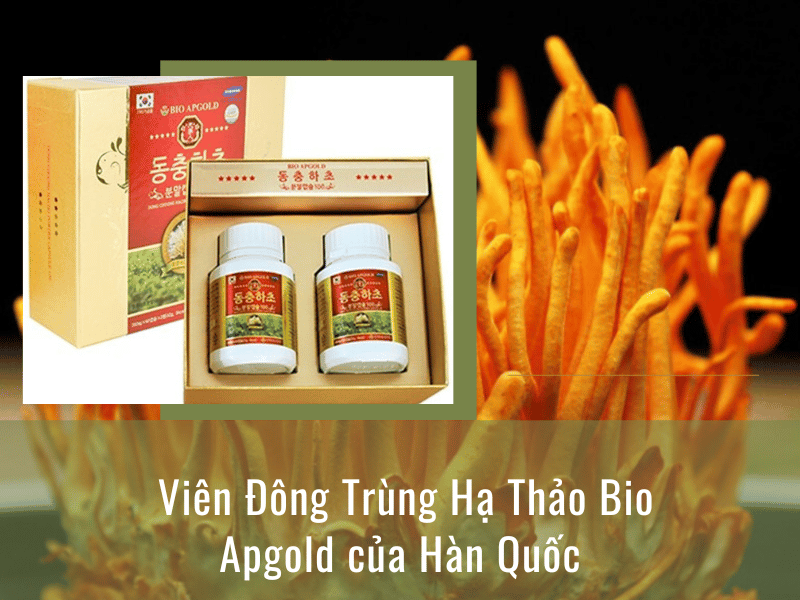 Viên đông trùng hạ thảo Hàn Quốc Bio Apgold