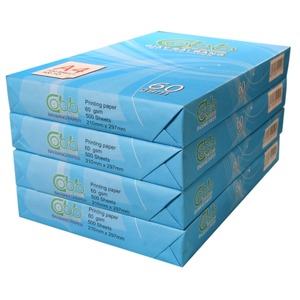 GIẤY A4 BÃI BẰNG XANH 70gsm