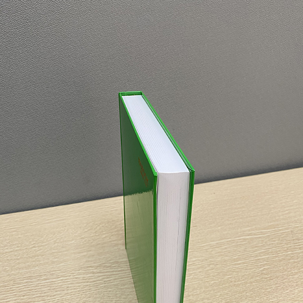 Sổ Habook Hải Tiến B5 600 trang | Sổ bìa cứng 4054