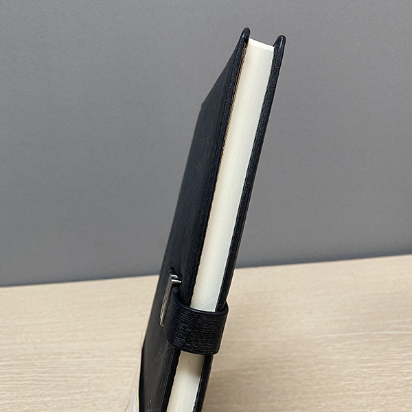 Sổ da Hải Tiến Premium PM6