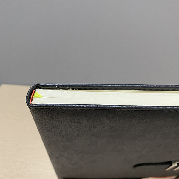 Sổ da Hải Tiến Premium PM6