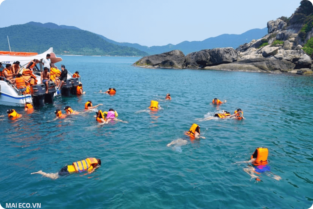 lặn ngắm san hô cù lao chàm