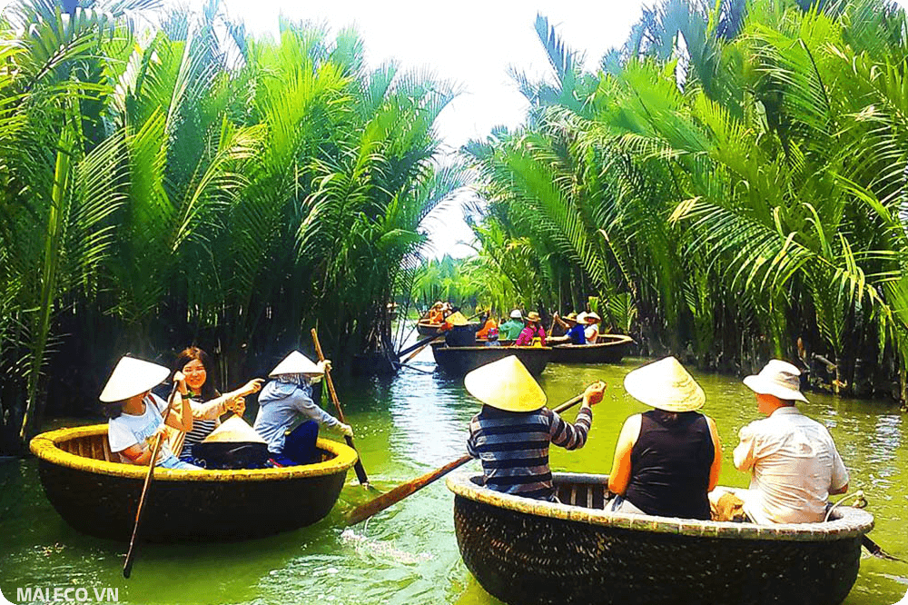 rừng dừa bảy mẫu hội an
