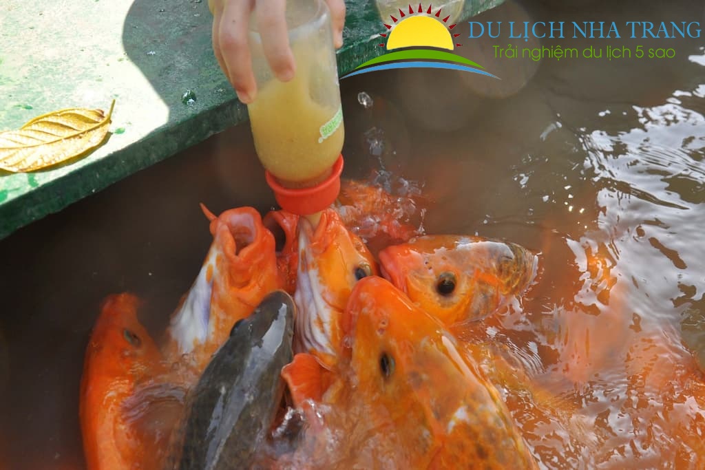 Tour thác YangBay 1 ngày