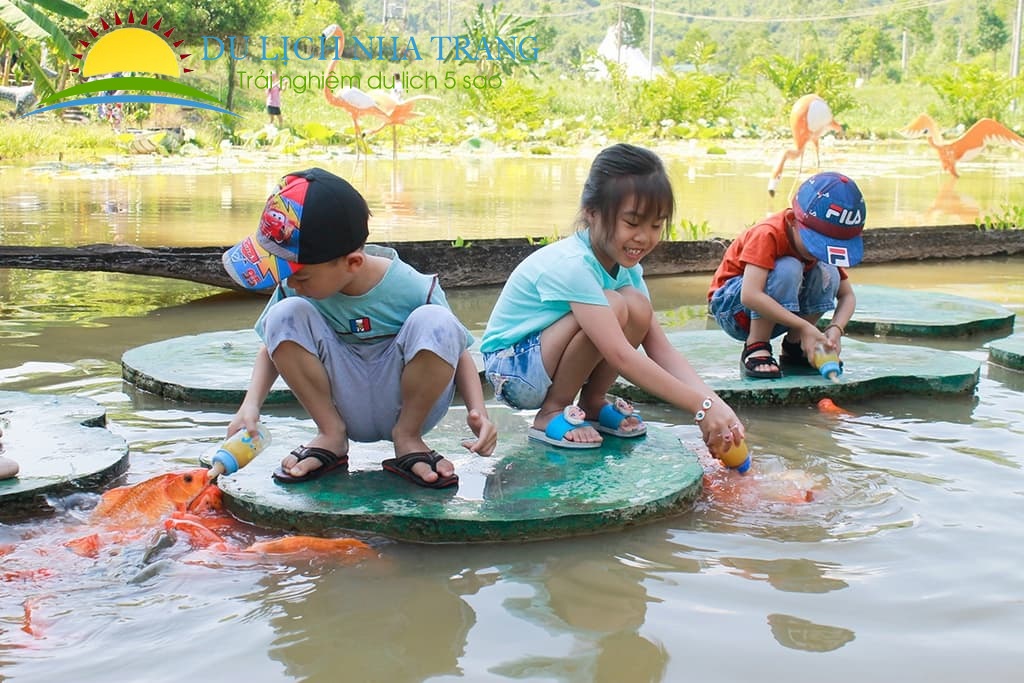 Tour thác YangBay 1 ngày