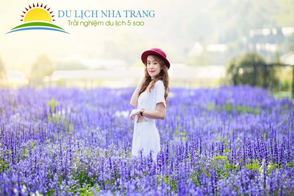 Tour Du Lịch Nha Trang - Đà Lạt 5 ngày 4 đêm