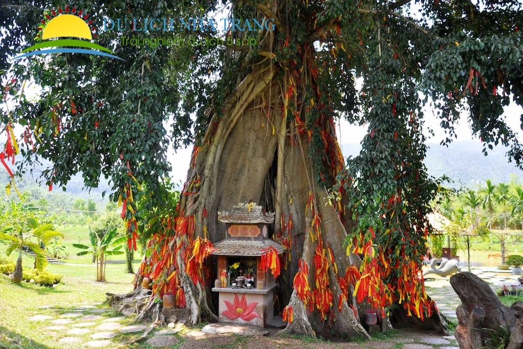 Tour thác YangBay 1 ngày