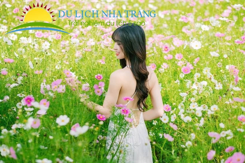 Tour Du Lịch Sài Gòn - Nha Trang - Đà Lạt 4 ngày 3 đêm[TRỌN GÓI - GIÁ RẺ]