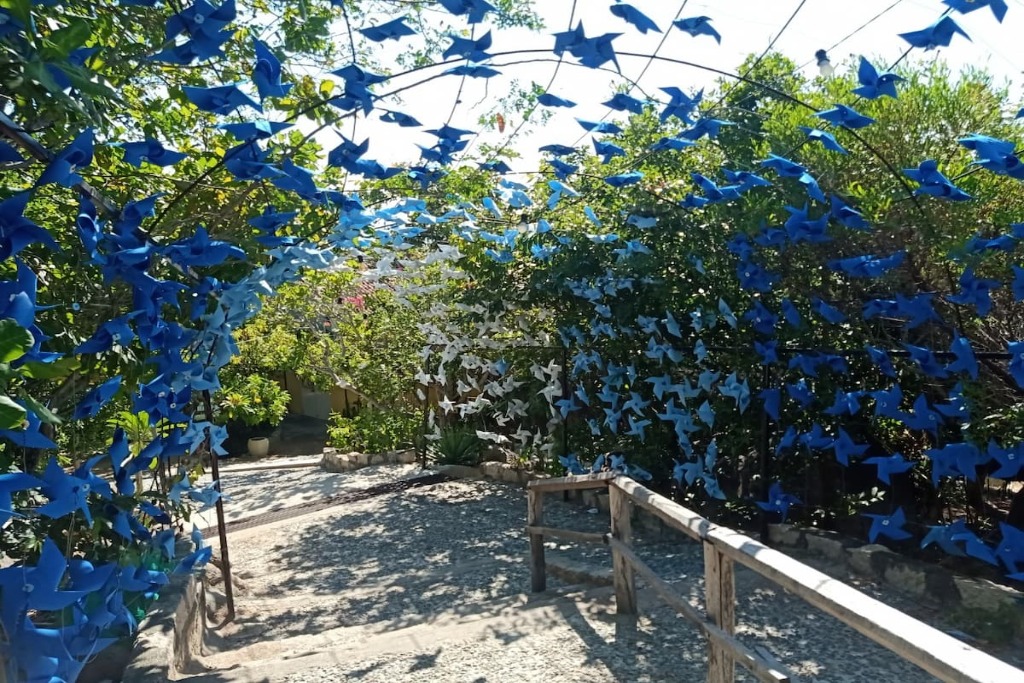 Tour đảo Bình Hưng - Bình Lập 1 ngày