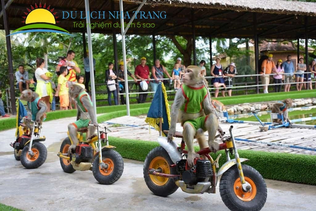 Tour Đảo Khỉ Suối Hoa Lan 1 ngày