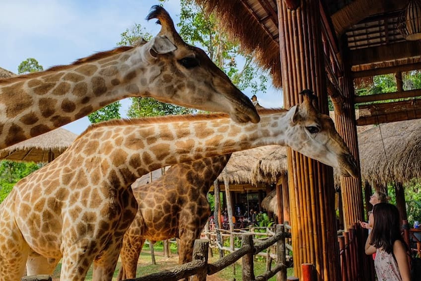 Tour Du Lịch Phú Quốc 4 ngày 3 đêm