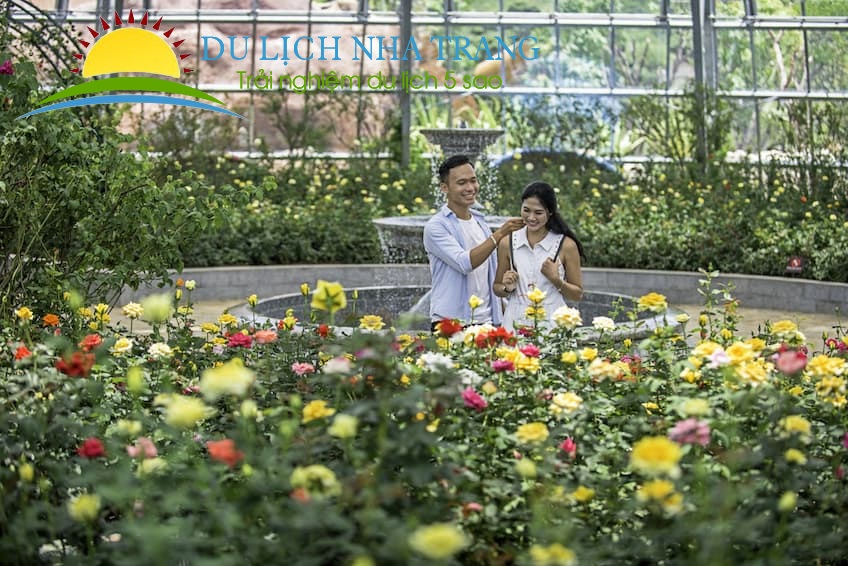 Tour Vinpearl Nha Trang 1 ngày